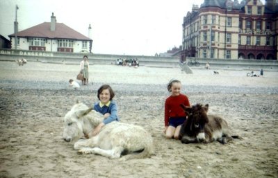 eIS2 slide 08 Lorna and Elaine with donkeys, Mum and Kathy in background