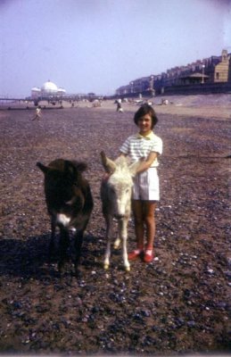 eIS2 slide 13 Lorna with donkey on beach