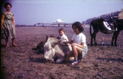 eIS2 slide 17 Mum plus Elaine and Kathy with donkeys (Medium).jpg