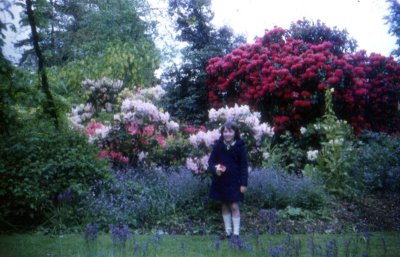 eSlide 10 Kathy by rhododendrons