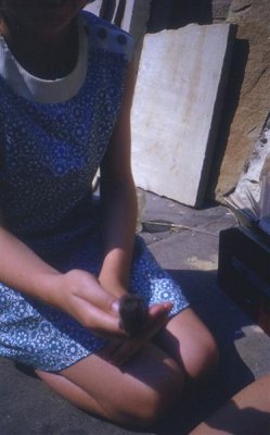 Kathy with vole