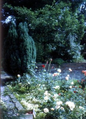 eSlide 04 Battersby garden