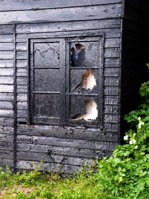 DSCF9358 (Medium).JPG