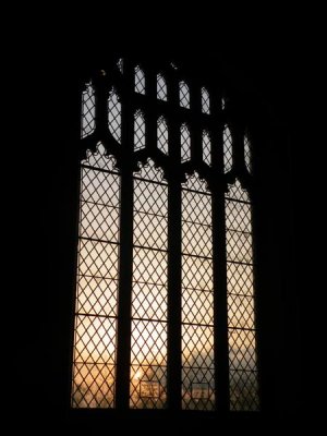 DSCF9541 (Medium).JPG