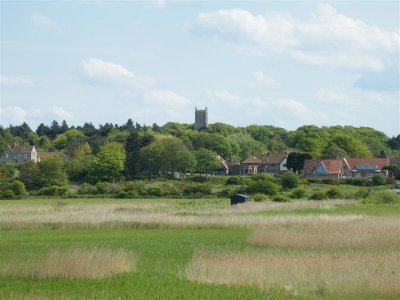 DSCF9593 (Medium).JPG
