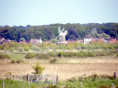 DSCF9594 (Medium).JPG