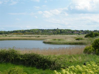 DSCF9598 (Medium).JPG