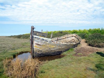 DSCF9600 (Medium).JPG