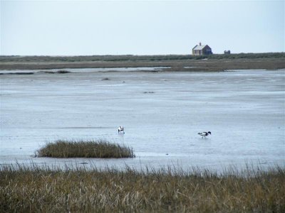 DSCF9603 (Medium).JPG