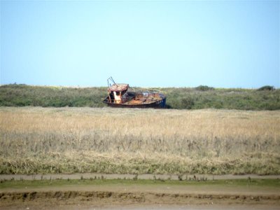 DSCF9606 (Medium).JPG