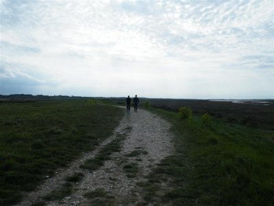DSCF9615 (Medium).JPG