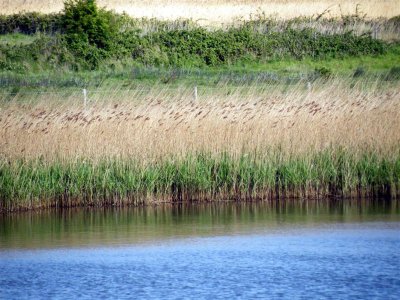 DSCF9631 (Medium).JPG