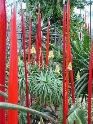 g3/70/495670/3/54839039.ChihulyatPrincessofWalesConservatory14.jpg