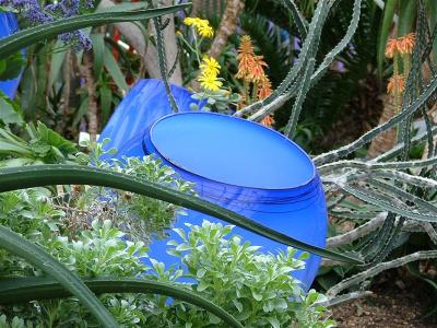 g3/70/495670/3/54839041.ChihulyatPrincessofWalesConservatory16.jpg