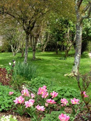 In the walled garden, Colby Woodland Garden
