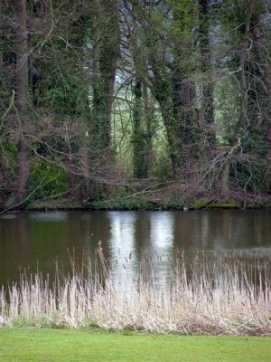 Lake at Sudbury Hall