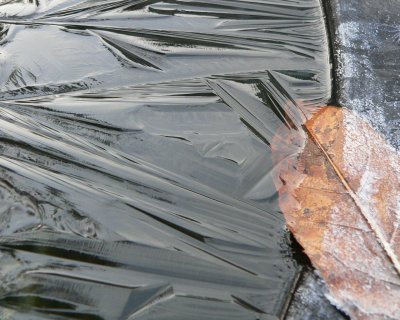 ice on the rain barrel