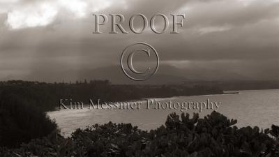 g3/70/506270/3/55380313.IN8H7287monochrome.jpg