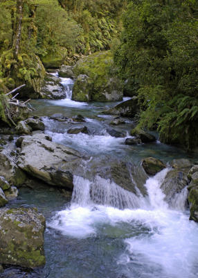 Chain of Falls, Milford Track