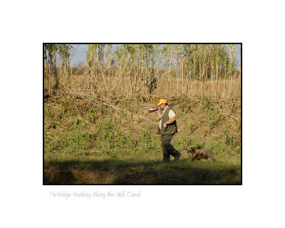 Partridge Hunter by Midi Cmal