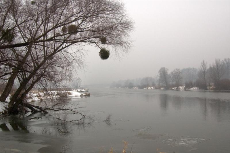 Odra river