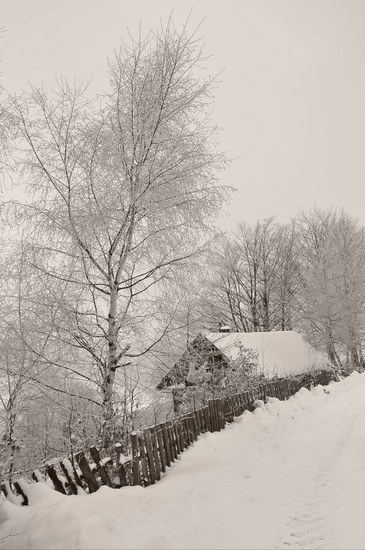 DSC_5369.jpg