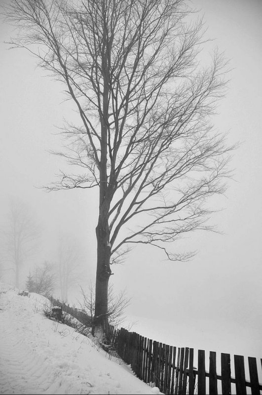 DSC_5189.jpg