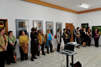 DSC_6768.jpg