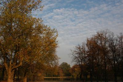 South park, sky,Wroclaw