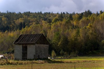 Turzyniec on ROztocze