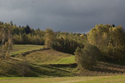 Turzyniec,on Roztocze