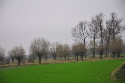 DSC_6840.jpg