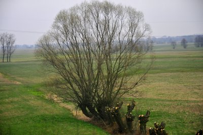 DSC_6865.jpg