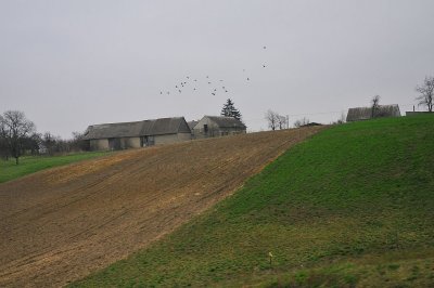 DSC_6881.jpg