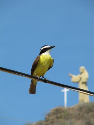 IMG_0735