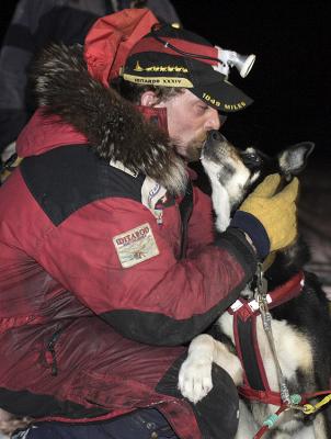 Love for a sled dog
