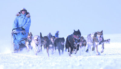 Dede Jonrowe takes the lead in Kobuk 440