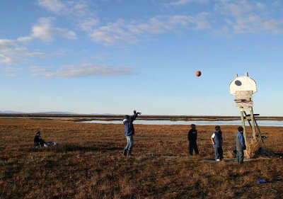 Tundra hoops