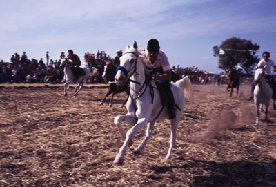 Kibbutz horse race