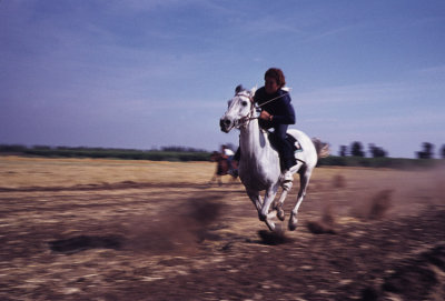 Full gallop
