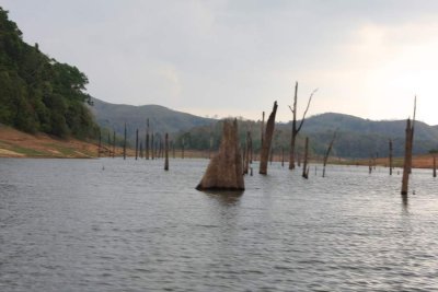 India2009716.jpg