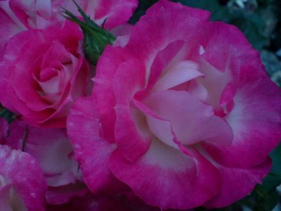 g3/70/606770/3/88059572.lnO3aGds.jpg