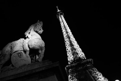 Monochrome Paris..