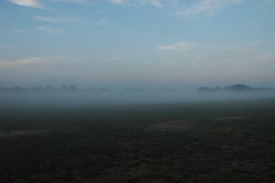 g3/70/647770/3/57316860.DSC_1831.jpg