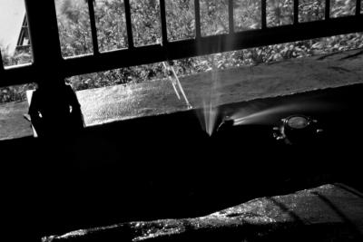 Shadow