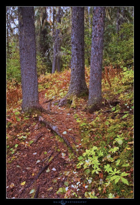 070923-CRW_0526-quality_TRAIL copy.jpg