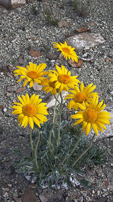 P1080110.jpg