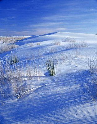 Blue Dunes