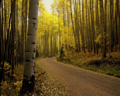 Bend in Road Near Ohio Pass