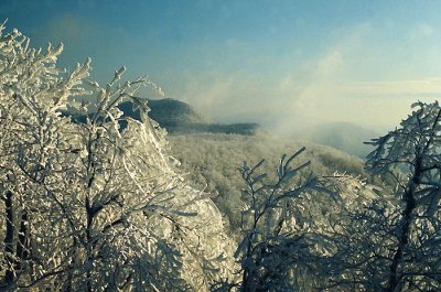 Rime on the Blue Ridge Mountains